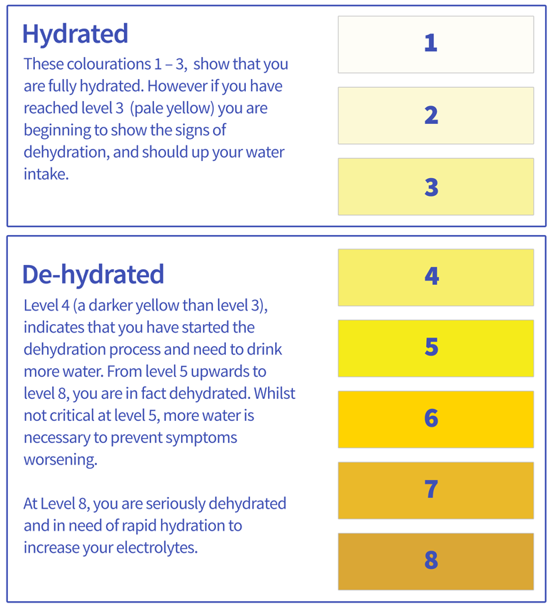 Healthy Pee Chart03 Hydratem8